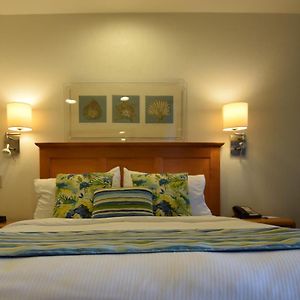 Suite à 1 Chambre à Coucher